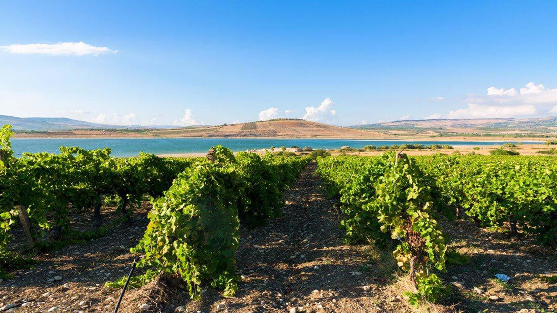 Wine tasting in Como focused on South Italy